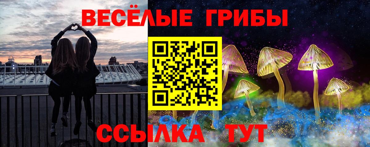 Псилоцибиновые грибы мицелий Дубна