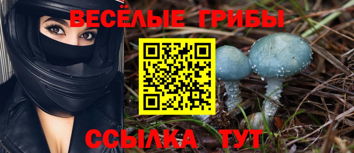 купить наркотики цена  Псилоцибиновые грибы мухоморы  Вход с VPN  Дубна 